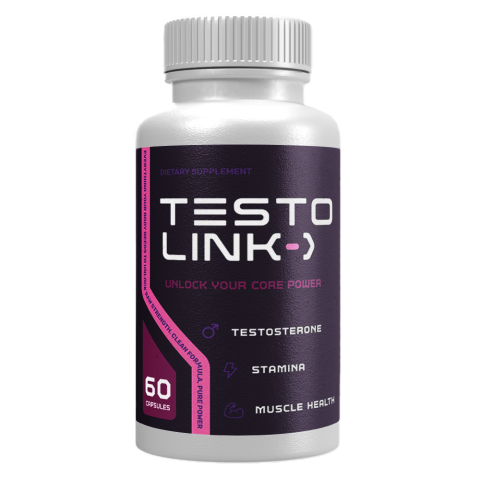 Testo Link